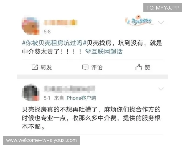 泰拳王大战：“断头踢”重现江湖——一场激烈绝伦的格斗盛宴