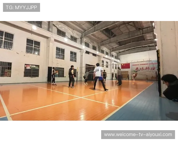国际排球比赛现场转播多视角技术的观感评估，排球第一视角